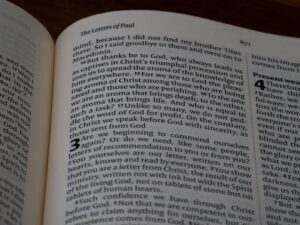 Photo PGS 15 vs PGS 37-2